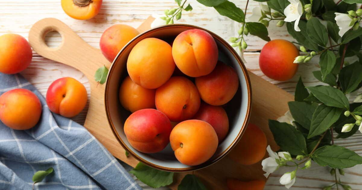 Garder les abricots frais : astuces pour une conservation réussie