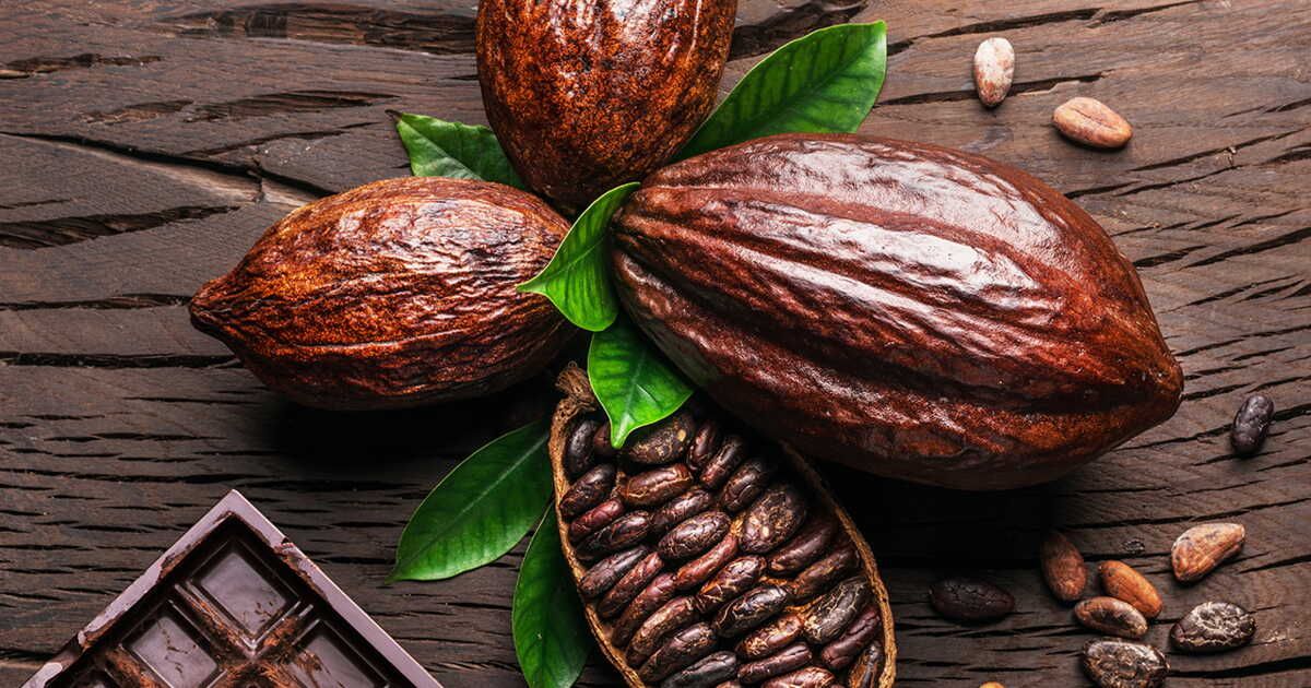 Pâques : les avantages d'opter pour des chocolats écologiques