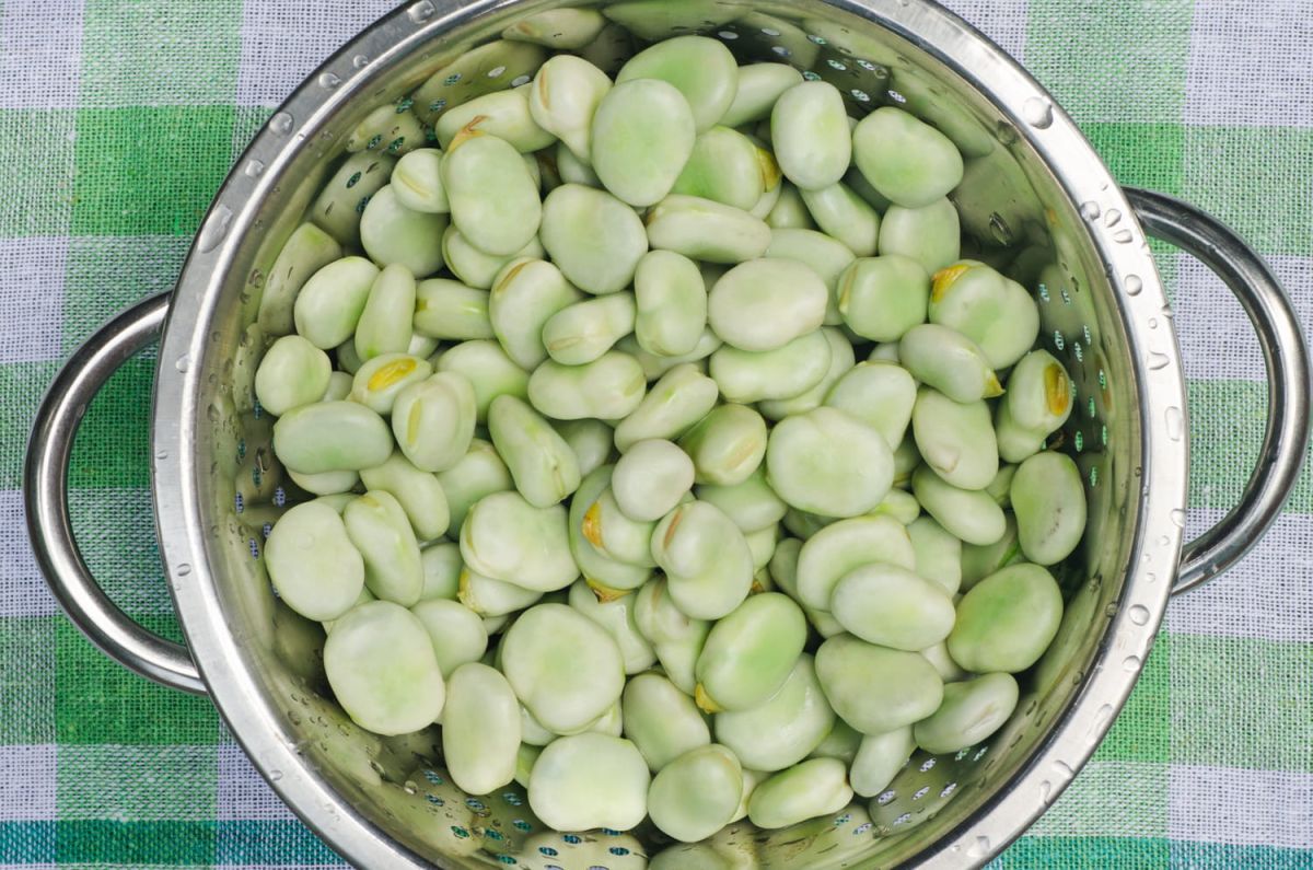 Les secrets pour réussir la cuisson des fèves fraîches, sèches et surgelées