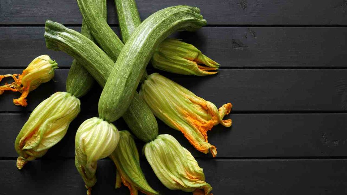 Découvrez cette recette légère de crème de courgettes pour un dîner rapide et savoureux