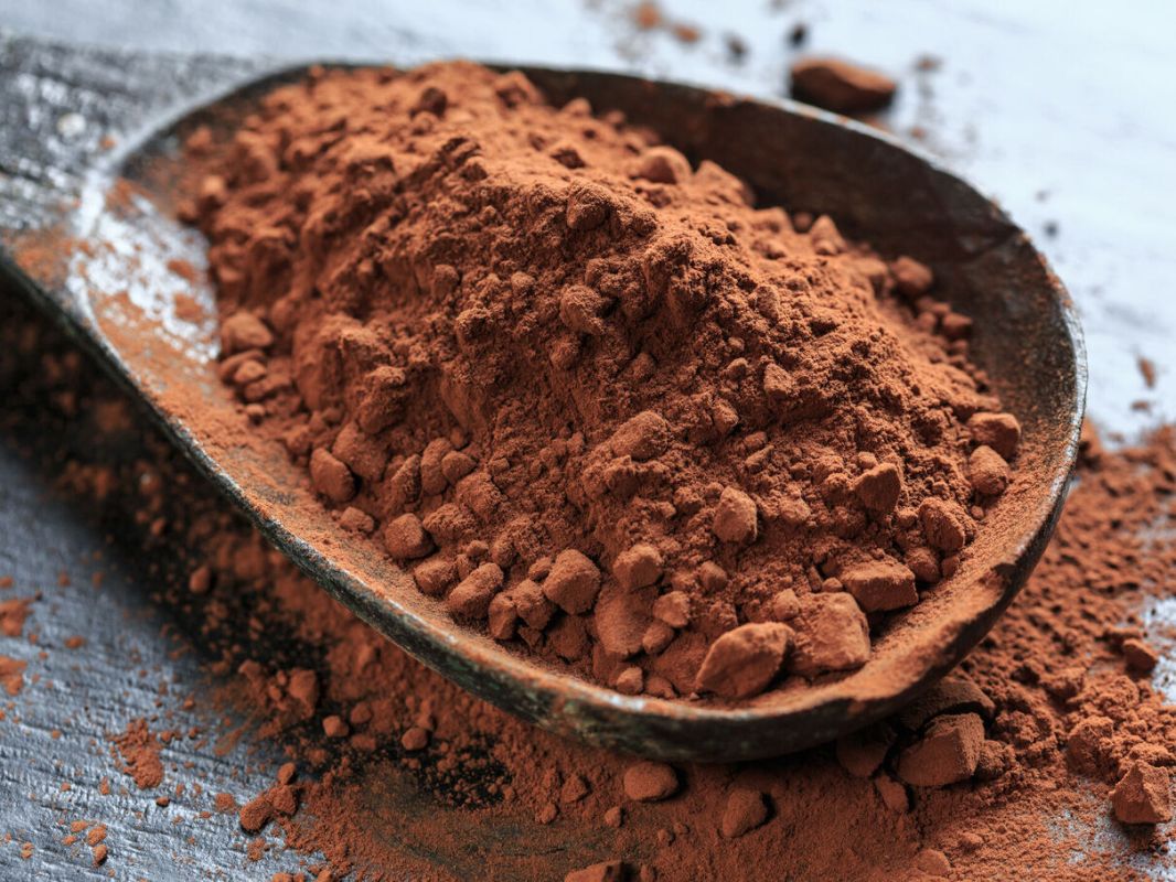 Le cacao, secret d'une meilleure intelligence ?