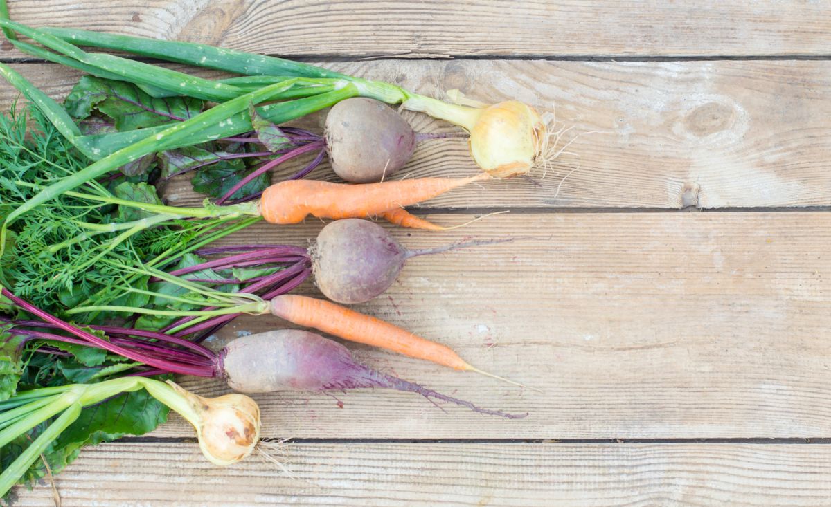 Redécouvrir les fanes de légumes : des recettes savoureuses à essayer