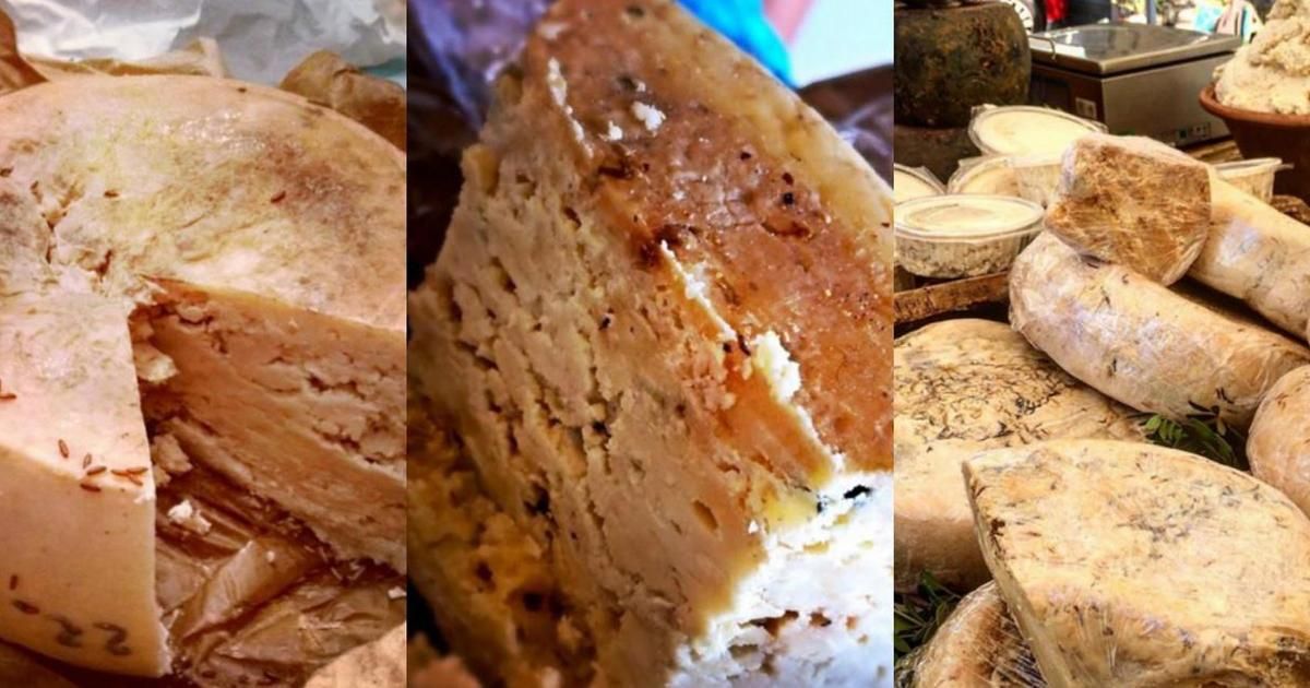 Casu marzu : le fromage qui fait grincer des dents