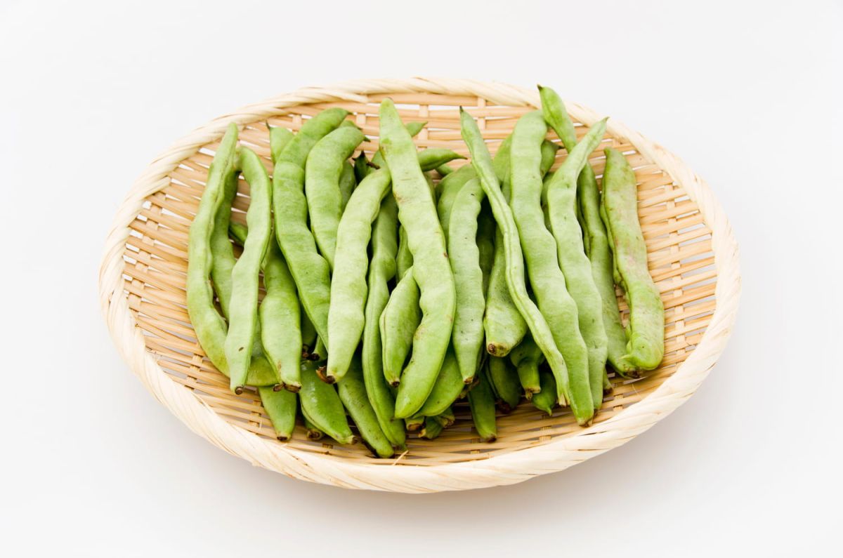 Découvrez les secrets de la cuisson des haricots plats
