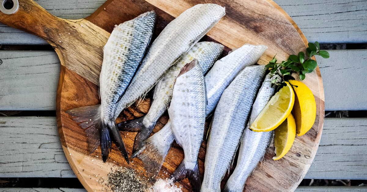 Optez pour le mulet noir : un poisson délicieux à moins de 12 euros le kilo