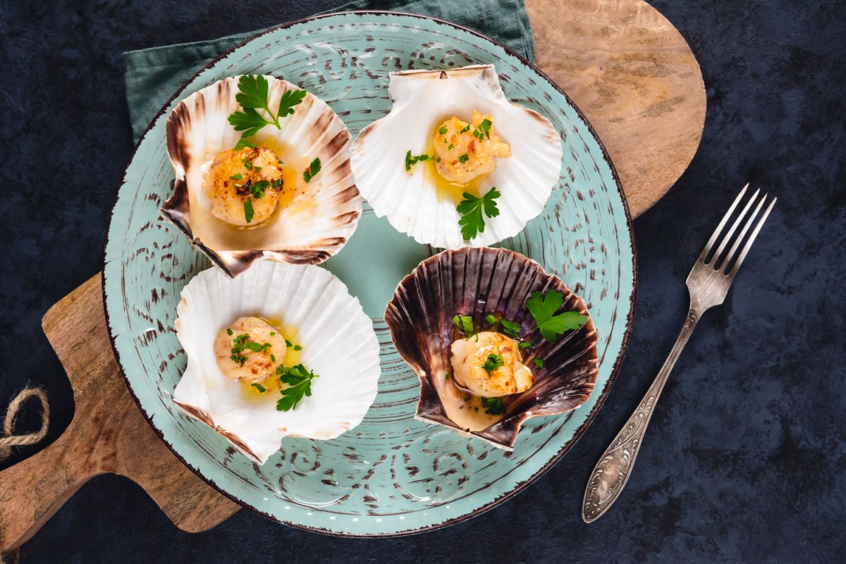 15 recettes élégantes de saint-jacques pour des fêtes savoureuses