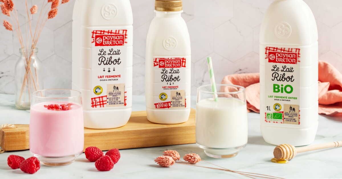 Découvrez le lait ribot : recettes salées et sucrées à essayer d'urgence