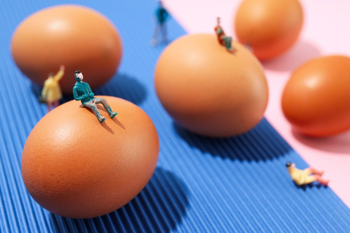 Les bienfaits surprenants des œufs : combien en consommer chaque jour ?