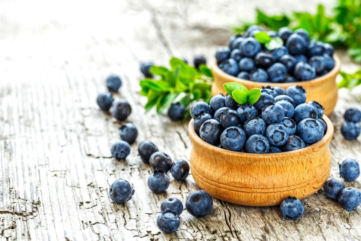 Délices de saison : 9 recettes à base de myrtilles pour un été vitaminé